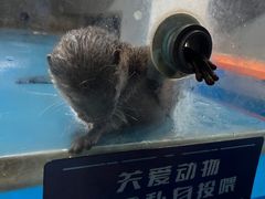 -大连圣亚海洋世界
