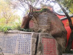 -乌山风景区