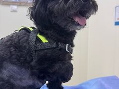 -美联众合动物医院·24h京西诊疗中心