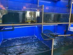 -阿尔法海鲜排档(爱琴海店)