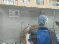 -宠福鑫康馨动物医院·骨科·眼科