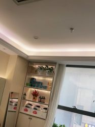 -碧莲盛·不剃发植发