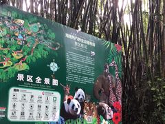 -海南热带野生动植物园