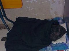 北京康乐宝动物医院-康乐宝动物医院