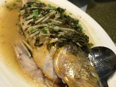 -老洋房花园饭店(绍兴路店)