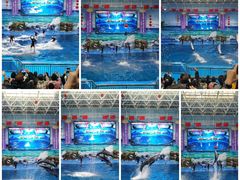 -多彩贵州城极地海洋世界