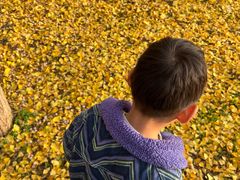 -汉长安城未央宫国家考古遗址公园