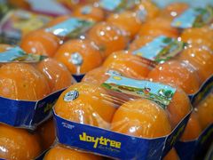 -西郊国际农产品交易中心