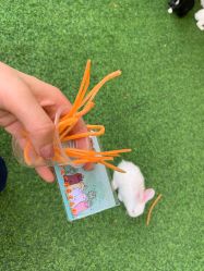 -萌宠亲子动物乐园(槐房万达店)