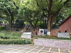 -马王堆汉墓遗址