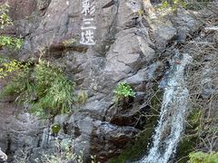 -云岫谷游猎自然风景区