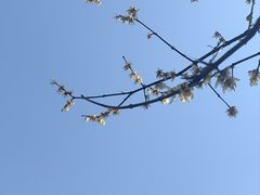 -万佛湖风景区