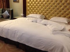 -圣爵菲斯大酒店(长沙世界之窗店)