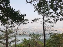 -风云岭森林公园