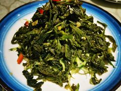 凉拌桑树尖-华盛园卷子王农家菜水库鱼