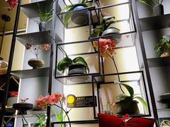 -街角 T·COFFEE 融合料理·BISTRO(车公庙店)