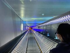 -白鹤梁水下博物馆