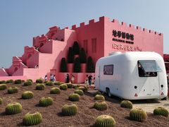 -漳州滨海火山岛自然生态风景区