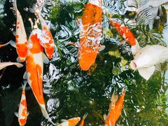 -聚缘堂·海鲜私房菜(松岭路店)