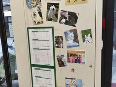 -爱妮康宠物医院·干细胞免疫细胞·肿瘤·心脏(张江店)