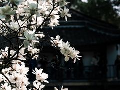 -何园