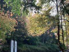 -广州市石门国家森林公园