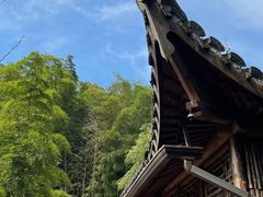 -宁波浙东大竹海景区