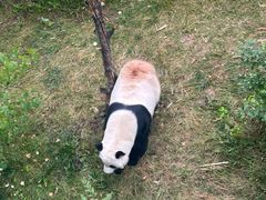 -青藏高原野生动物园