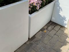 -美奈小馆·东南亚菜(福田星河COCO Park店)