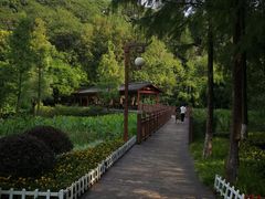 -重庆彩云湖湿地公园