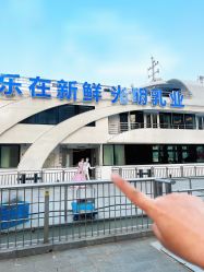 点击看大图 -Doris一站式游轮婚礼船东直营店(外滩店)