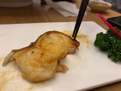 鳕鱼-一本钓鲔鱼屋