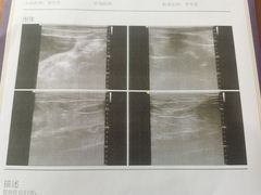 -宠爱国际动物医院· 猫科· 外科·中兽医(长白店)