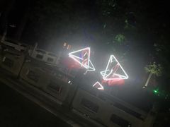 -锦江乐园舞狸花花游园会(夜场专享)