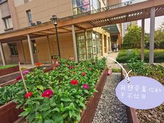 -梧桐人家中国太平国际健康颐养社区