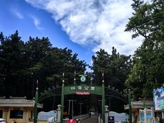 -林海公园