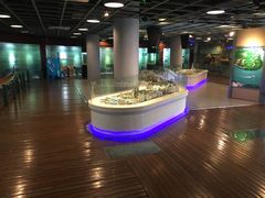 -苏州河梦清园环保主题公园