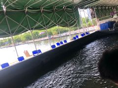 -会江钓鱼钓虾烧烤场