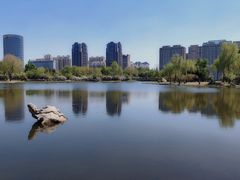 -群力丁香公园