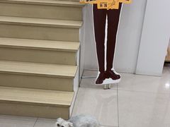 -佳雯宠物医院(四明中路分院)