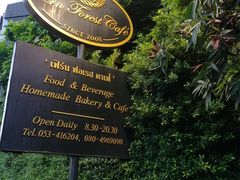 -Fern Forest Cafe