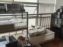 -灵龟之家百象馆(百象馆联合旗舰店)