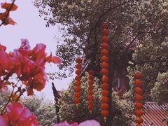 -灵隐飞来峰景区