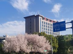-张家界大成山水国际大酒店