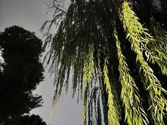 -堤角公园