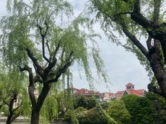 -嘉定紫藤园