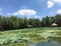 -天赐温泉