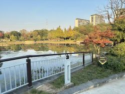 -雅馨国际月子中心