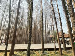 -采石矶景区