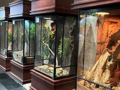 -帕帕拉兹宠物(亚洲旗舰店)